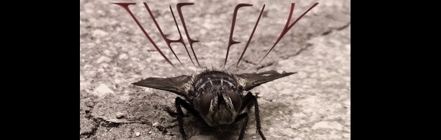 THE FLY